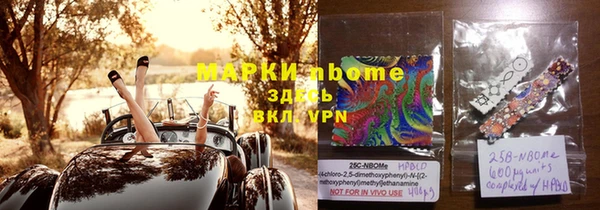 хмурый Алексин