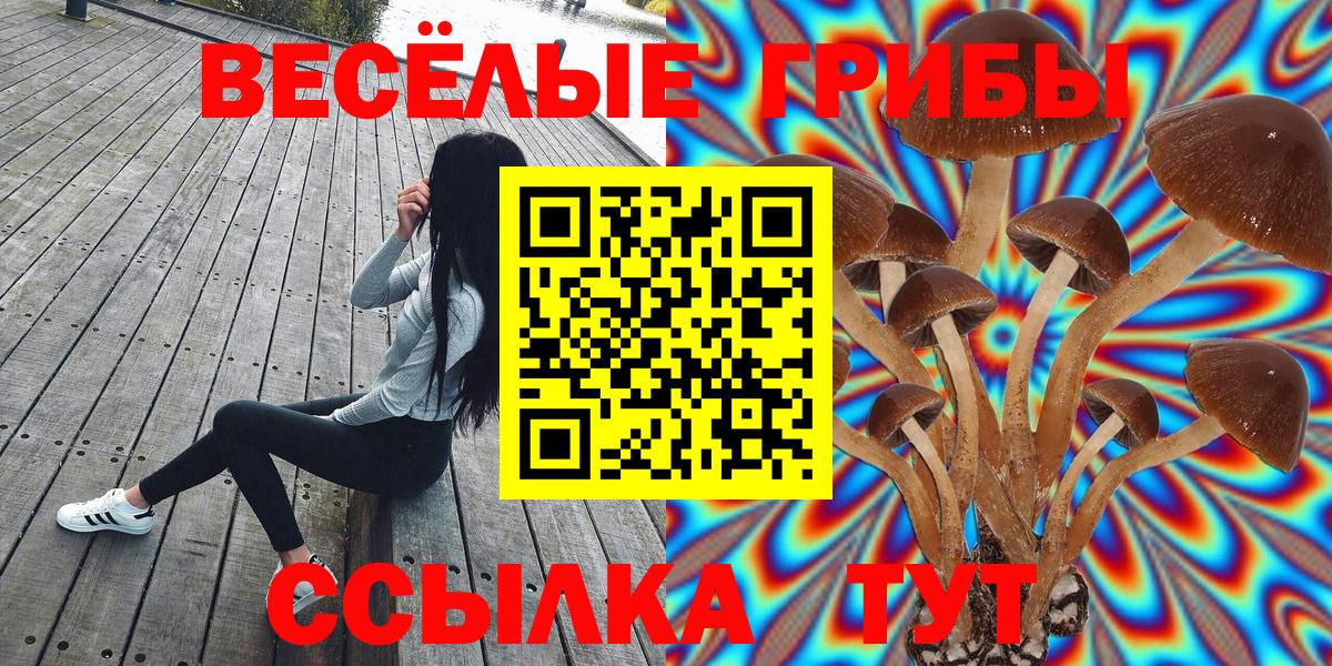Галлюциногенные грибы мицелий  Вход с VPN  Павловский Посад  дарнет шоп  Псилоцибиновые грибы GOLDEN TEACHER 