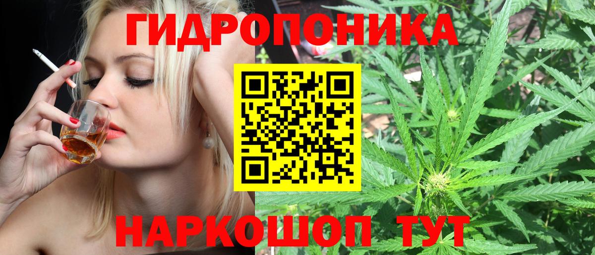 Каннабис план  Вход с VPN  Бошки марихуана план  Каннабис SATIVA & INDICA  МАРИХУАНА THC 21%  Павловский Посад 